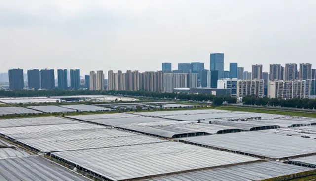 企业信息更新中的贸易数据获取检查要点