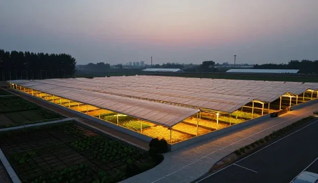 网站建设asp常见问题及检查要点分析